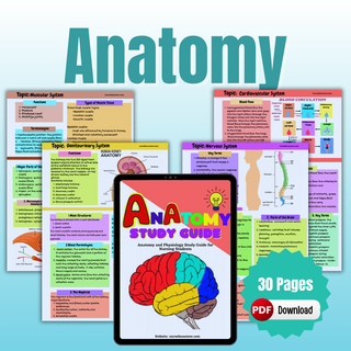 Anatomy Study Guide (Digital-PDF)