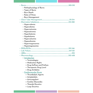 NURSING MEGA BUNDLE (Digital-PDF)