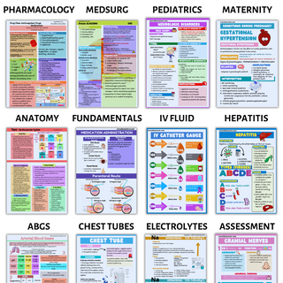 NURSING MEGA BUNDLE (Digital-PDF)