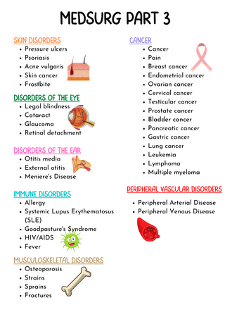 Med-Surg PART 3 Study Guide (Digital-PDF Files)