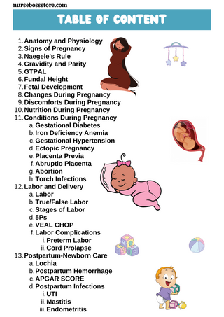 Maternal and Child Health Nursing (Digital-PDF)