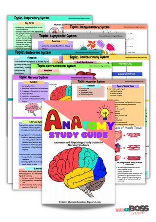 Anatomy Study Guide (Digital-PDF)