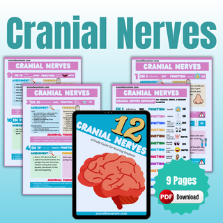 Cranial Nerves (Digital-PDF)