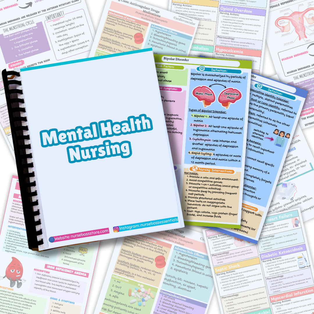 Mental Health Nursing Guide (Digital-PDF ONLY)