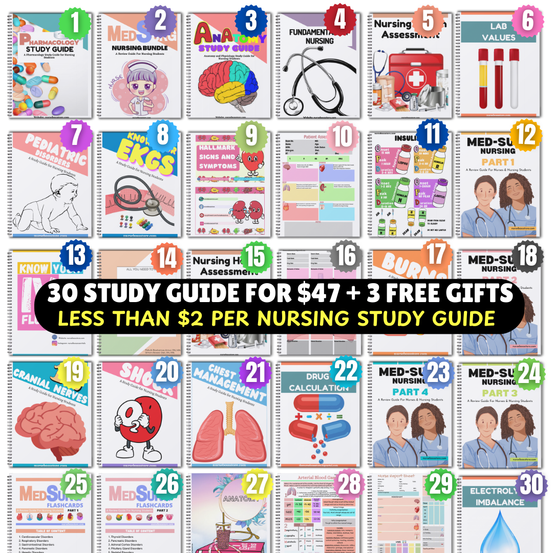 NURSING MEGA BUNDLE-ALL NOTES(Digital-PDF)