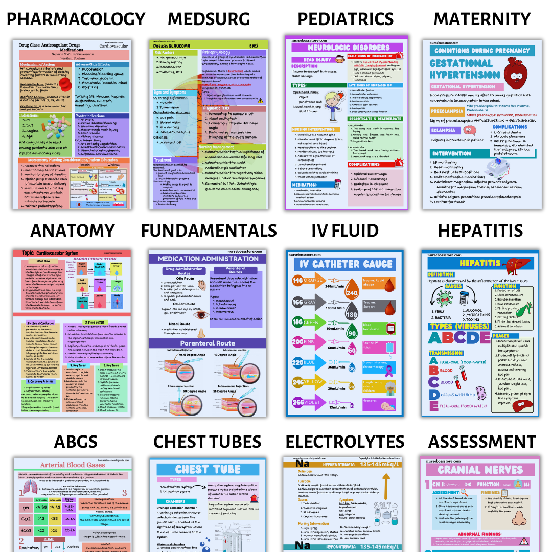 NURSING MEGA BUNDLE-ALL NOTES(Digital-PDF)