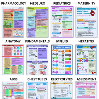 NURSING MEGA BUNDLE-ALL NOTES(Digital-PDF)