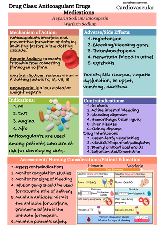 Nursing Mega + Exam Bundle (Digital-PDF