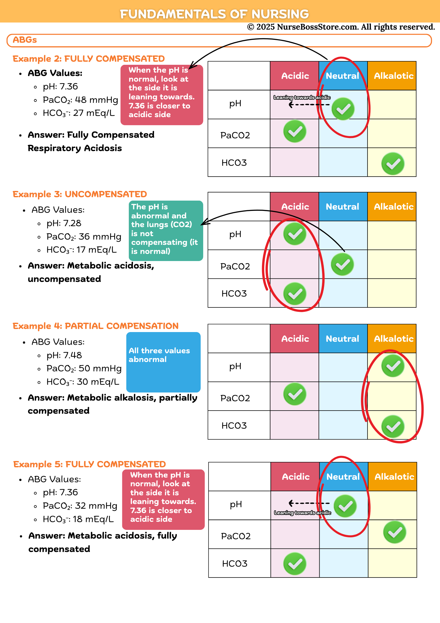 Nursing Mega & Exam Bundle (Digital-PDF)