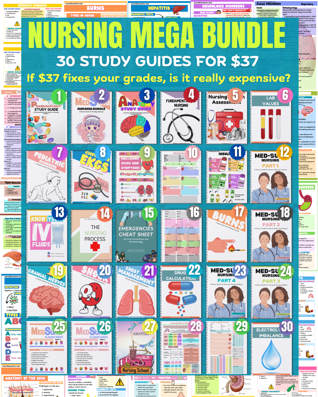 NURSING MEGA BUNDLE (Digital-PDF)