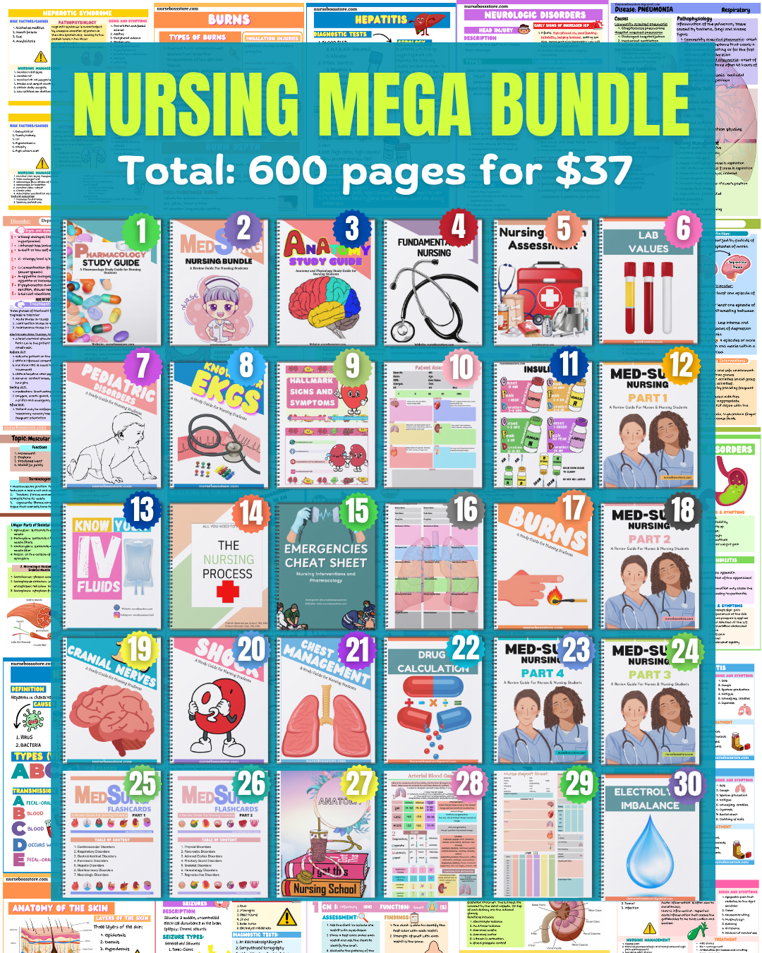 NURSING MEGA BUNDLE (Digital-PDF)