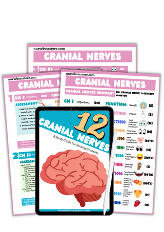 Cranial Nerves (Digital-PDF)