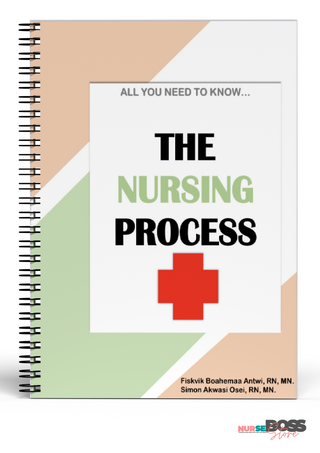 Nursing Care Plan eBook