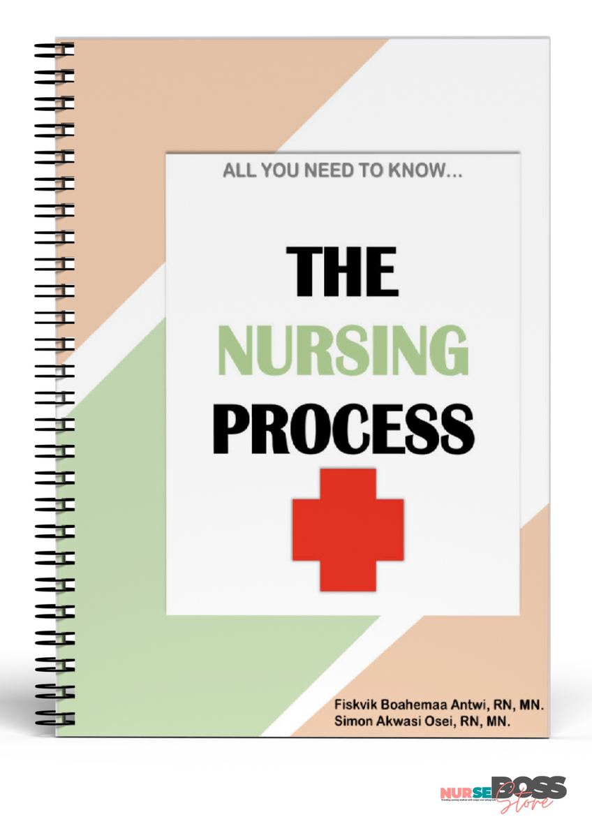 Nursing Care Plan eBook – nursebossstore